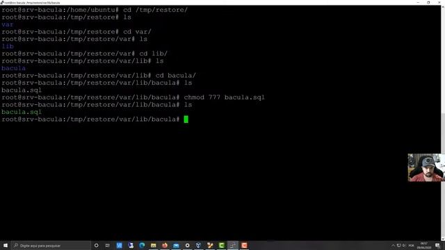 Como restaurar o catalogo do bacula смотреть онлайн