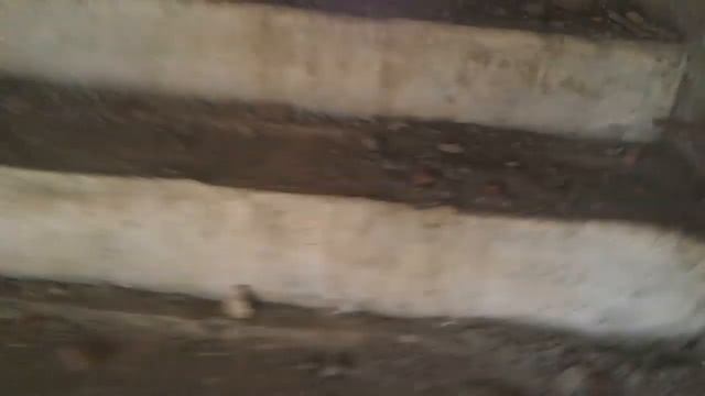 залезли на стройку и увидели там красивы пейзаж(1) смотреть онлайн