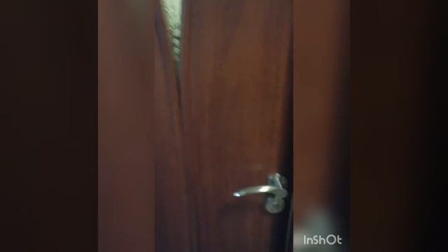 2-комнатная квартира на Куйши Дина смотреть онлайн