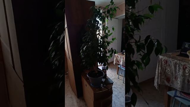 13 июля 2024 г. смотреть онлайн