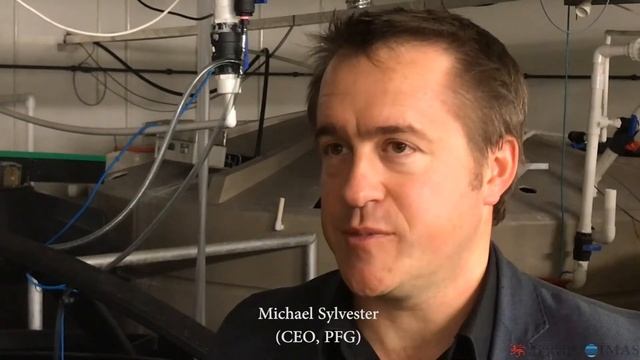 Rock Lobster Research & Investment To Lead To World's First Lobster Hatchery