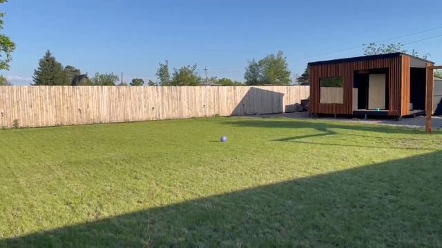WhatsApp Video 2024 06 11 at 15 27 06 смотреть онлайн
