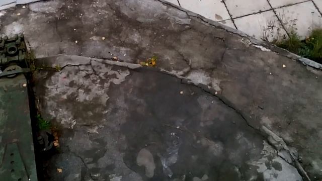 Скинул анти стресс с часами смотреть онлайн