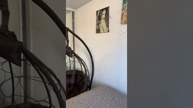 Осипенко 39 смотреть онлайн