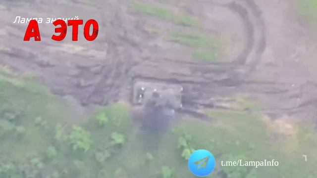 Диванная студия Троллинг-сюжетов - 58 - "Леопарды бывают разные..." смотреть онлайн