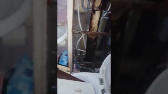 2. затопило кв.32 ул.Сухонская 5а. 6.11.2021г. смотреть онлайн