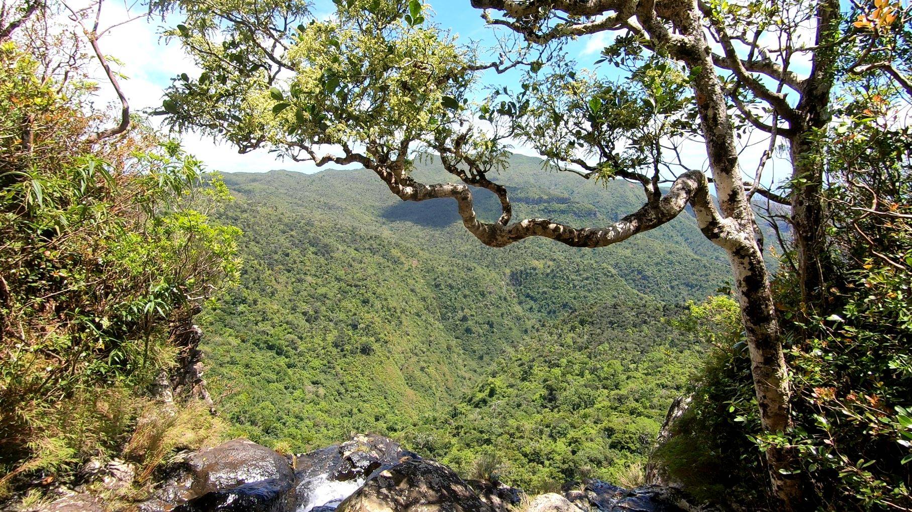 Маврикий. Поездка на водопад (29.02.2024)