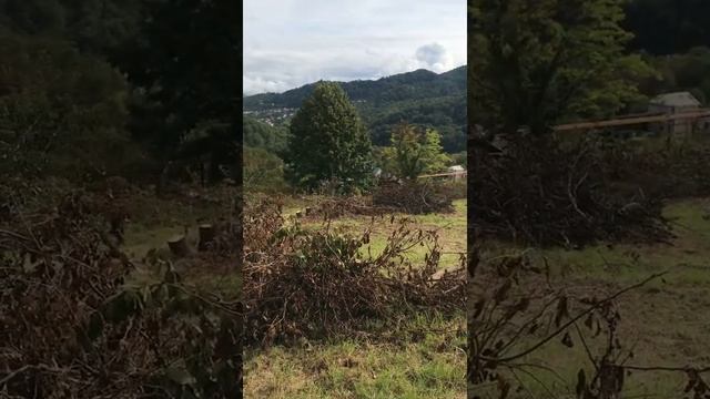 Продаю 39 соток, участки по 4 сотки, есть коммуникации, разрешение на строительство +79186073429 смотреть онлайн