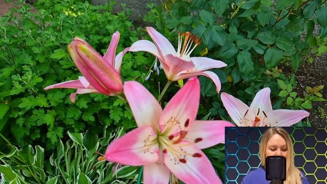 - Твой муж сейчас у любовницы - невестка оцепенела от слов свекрови, но когда та ей показала фото..