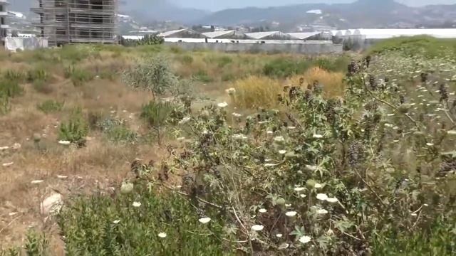 Инвестирование в недвижимость Осмотр участка №2 под строительство 4х доходных д смотреть онлайн