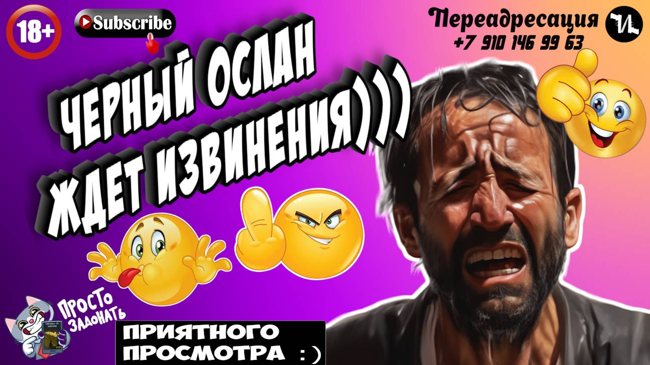 ЧЕРНЫЙ ОСЛАН ЖДЕТ ИЗВИНЕНИЯ