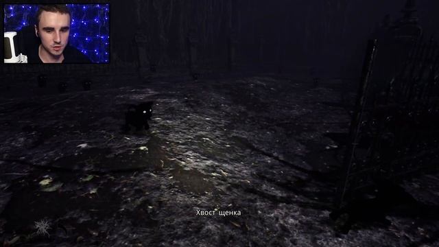 ВЕДЬМИНА МИССИЯ ● ПРОХОЖДЕНИЕ ● Pacify #4 смотреть онлайн