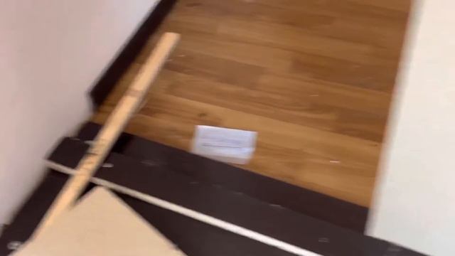 Провели дезинсекцию, контролируем результат. смотреть онлайн