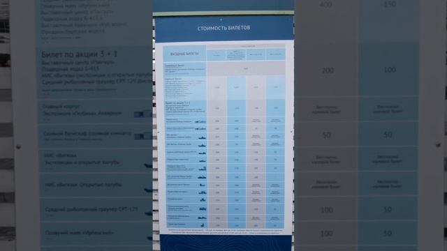 Сколько Стоит Музей Мирового Океана?