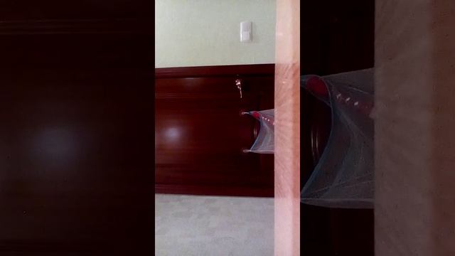 Nerf-Обзор моего подарка на НГ-Vigilon смотреть онлайн