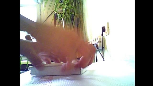 Распаковка посылки с муравьиной маткой. Видео - отзыв Ильи смотреть онлайн