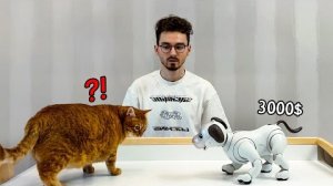 заменил своего кота роботом за 3000$ - TheBrianMaps