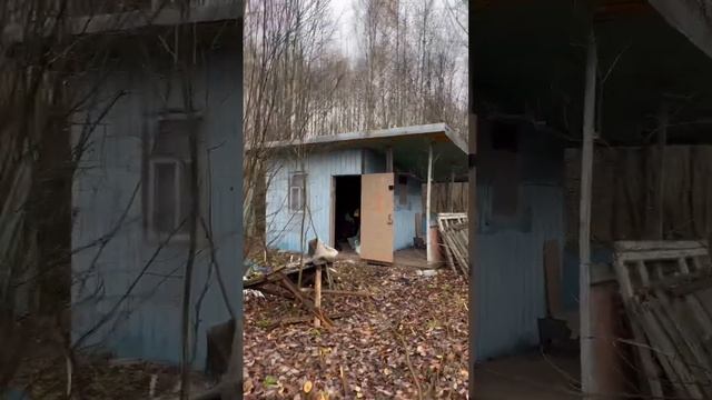 Едем на участок! Время и стоимость электрички #dacha #дом #строимсами смотреть онлайн