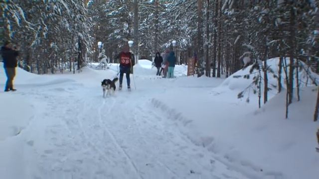 В центре событий. Дневной выпуск. 26.12.18. 16+ смотреть онлайн