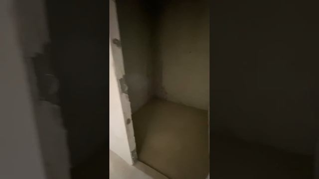 11 января 2024 г.