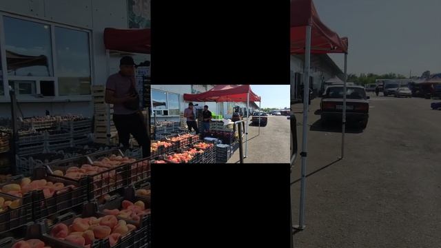 #рынокАлексеевскийВоронеж Что есть на рынке Алексеевский(27.07.24 г.). смотреть онлайн