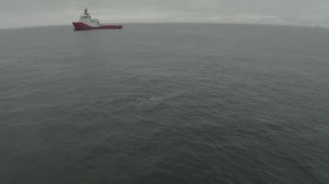 Невероятные СЕРЫЕ КИТЫ и суровое Охотское МОРЕ. Мониторинг Китов на Сахалине. Газпромнефть. NEW VLOG