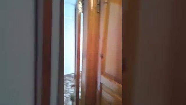 Квартира по адресу Челюскинцев, 67 смотреть онлайн