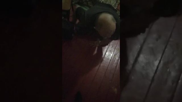 Гвоздика Барнаул смотреть онлайн