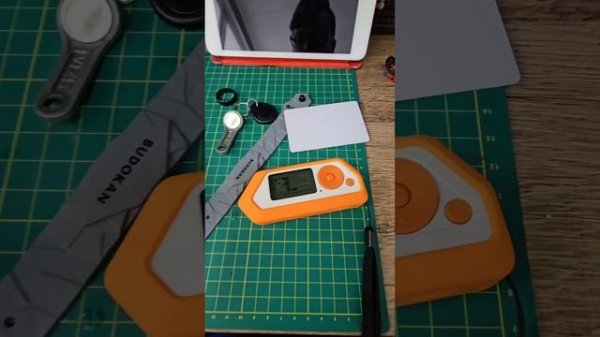 Flipper zero - полезный повседневный девайс