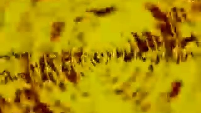 Muse Mac Apple Commercial - Sunburn смотреть онлайн