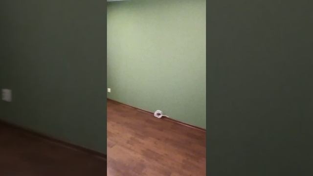 lv 0 20240202161638 2 смотреть онлайн