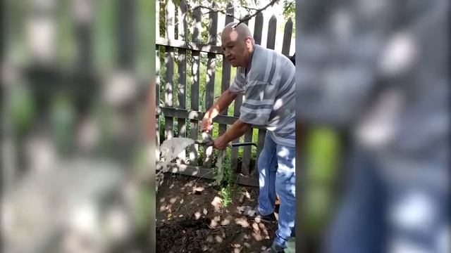 Белоусовка, ВКО смотреть онлайн