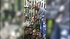 Белоусовка, ВКО