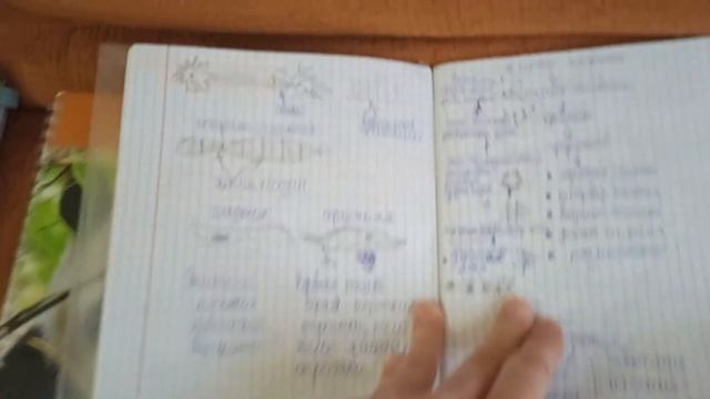 Конспекты 🧠👩🎓👩🏫📲💻📚📒📝 смотреть онлайн