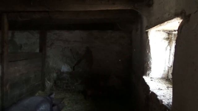 Русская деревня Выходные в деревне смотреть онлайн