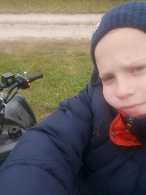 мы едем в лес