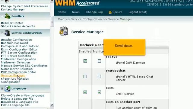 How to set which services are enabled and monitored by WHM смотреть онлайн