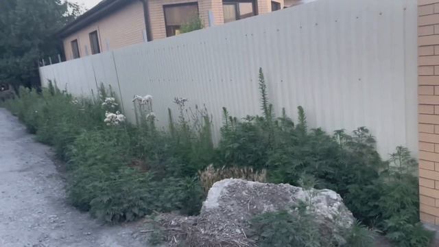 Застройщики и их шедевры. Строить или покупать готовое? смотреть онлайн