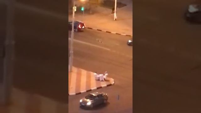 Романтики на островке Ватутина-Королёва в Белгороде смотреть онлайн