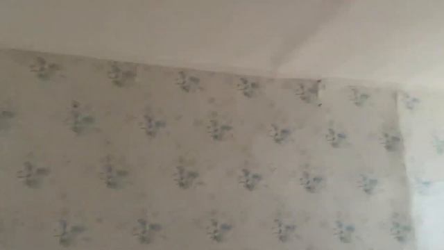 Студия 19,1 м2 по адресу Сходня, ул. Некрасова, 6 смотреть онлайн