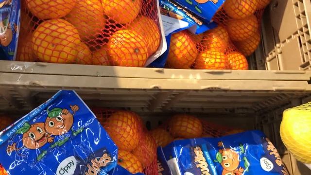 КАНАДА ВЛОГ | В WALMART за продуктами С АНТОНОМ смотреть онлайн