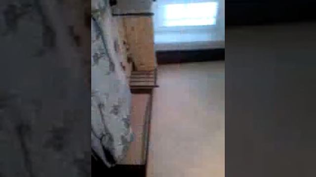 Квартира бабушки смотреть онлайн