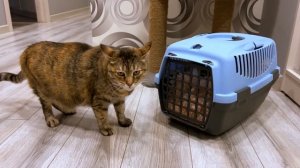 Дунечки больше нет