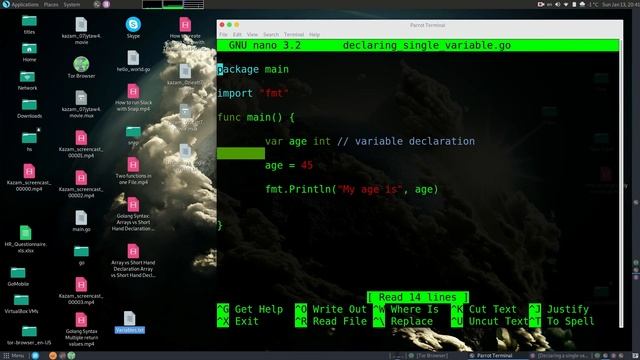How to Declare Golang's Single Variable with Terminal on Parrot Security Linux смотреть онлайн
