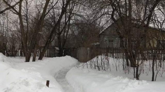 Московская область, Одинцовский городской округ, деревня Папушево, уч 2 смотреть онлайн