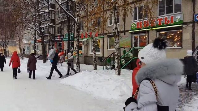 Светлановский 66. 40 м2 смотреть онлайн