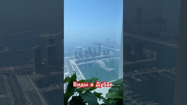 #недвижимостьвдубае #застройщик #недвижимость #брокер #rumirealestate #дани #дубай смотреть онлайн