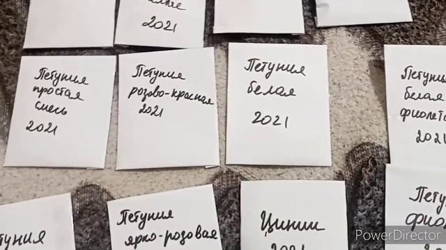 Я снова в эфире). Все болеют. Апатия или авитаминоз? Перебираю семена смотреть онлайн