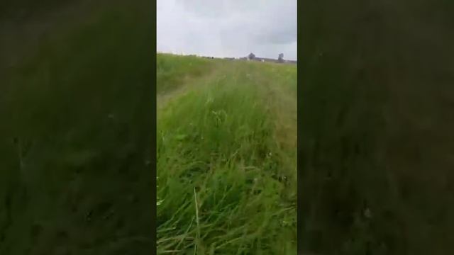 сибирские просторы