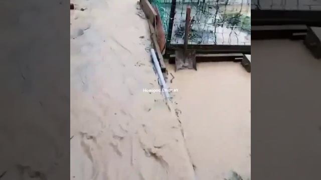 Потоп в станице Раевская